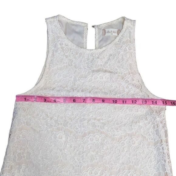 Altar’d State Lace Dress - Picture 9 of 9